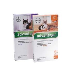 Advantage Cats