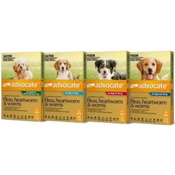 Advocate Dog