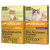 Advocate cat 1 Advocate Cat