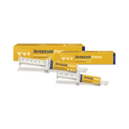 Antezole Paste