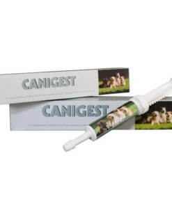 Canigest