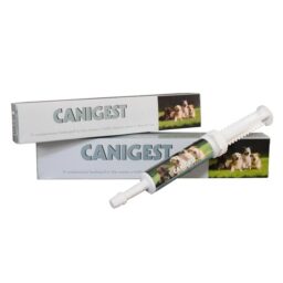Canigest
