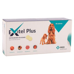 Exitel Plus 48 Tab