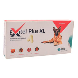 Exitel Plus XL 20 Tab