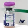 Cv Hipra Gumboro Ch/80 1000D X 1 Vial