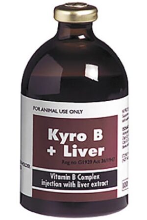 Kyro B Plus Liver 100ml