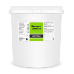 Kyrogest Antacid 320g x 12