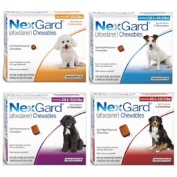 Nexgard Tablet x 1