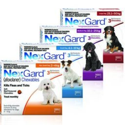 Nexgard Tablet x 3