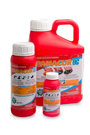 Panacur Bs Liquid