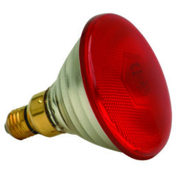 Infra Red Lamp Light 175 Watt