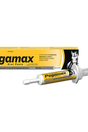 Pegamax 32.4g Paste