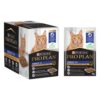 Pro Plan Adult 7+ Wet Food 12 X 85G (Chicken In Gravy)
