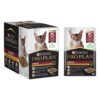 Pro Plan Cat Adult Wet Food 12 X 85G (Chicken In Gravy)