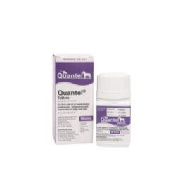 Quantel 100 Tablets