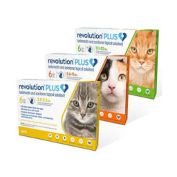 Revolution Plus For Cats x 3 Tubes