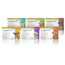 Simparica Trio for Dogs (Pack of 3 Chewables)