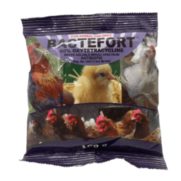 Bactefort W/S 25g Anitbiotics (50 % Oxytetracycline Hcl)