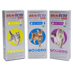 Bravecto Plus For Cats