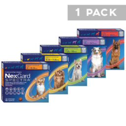 Nexgard Spectra Chew Tab x 1