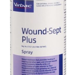 Wound -Sept-Plus