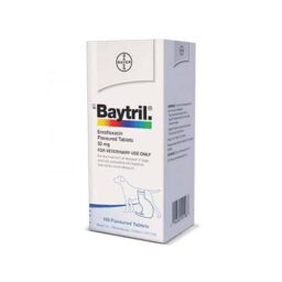 Baytril 50mg Flavour Tablets 50 Tab – Enrofloxacin Antibiotic for Dogs & Cats