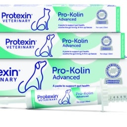 PRO-KOLIN ADVANCED (DOGS)