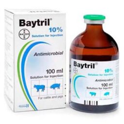 Baytril 10% Injectable Solution 100ml